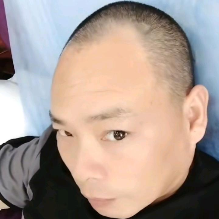 临泉二驴