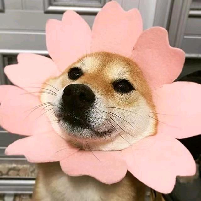 富贵人生