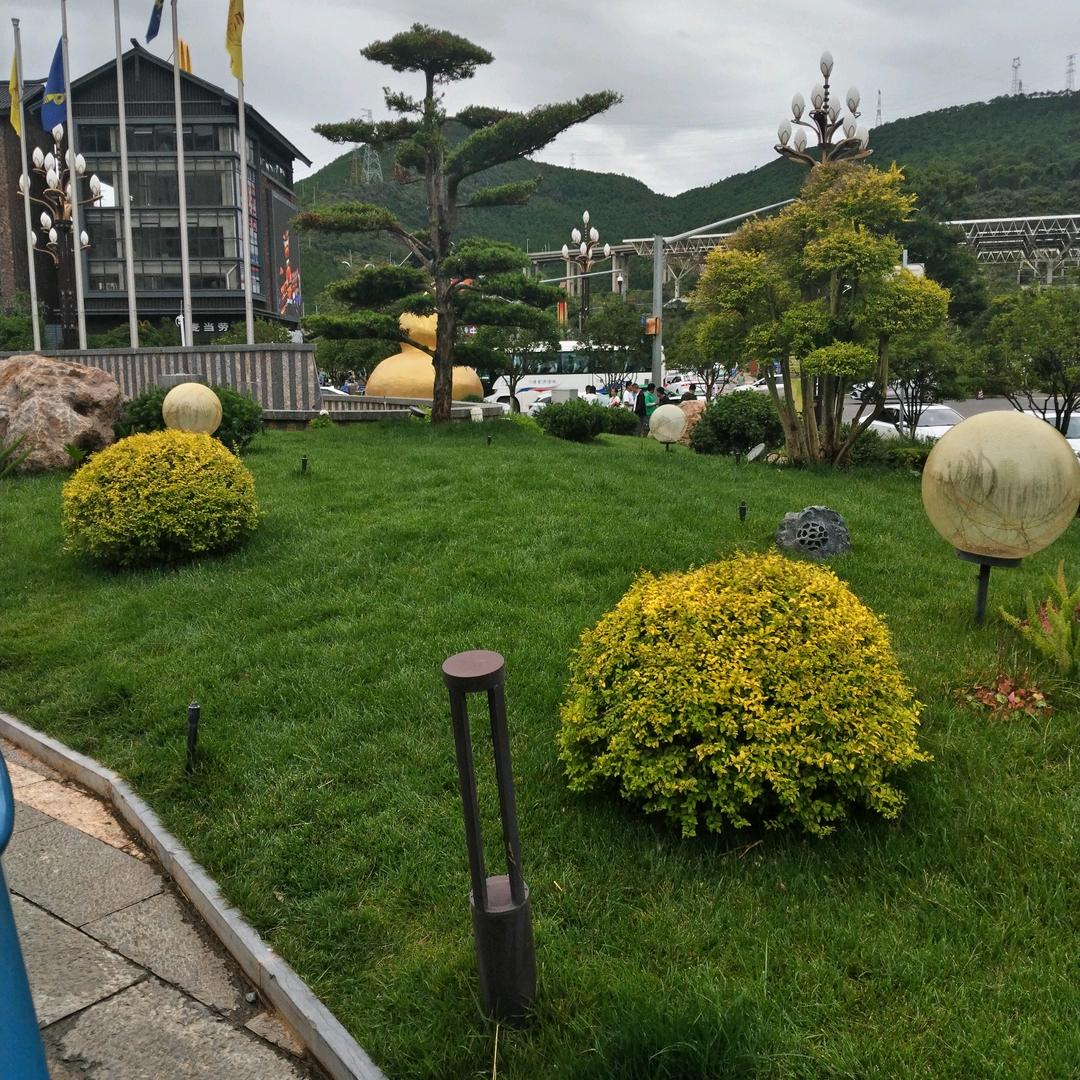 我和你们在一起