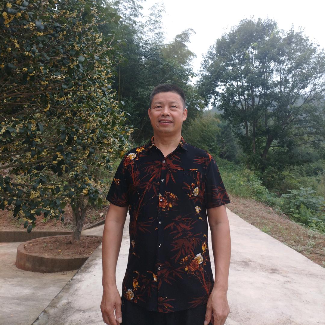 自新对联