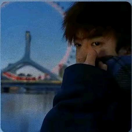 小杨.