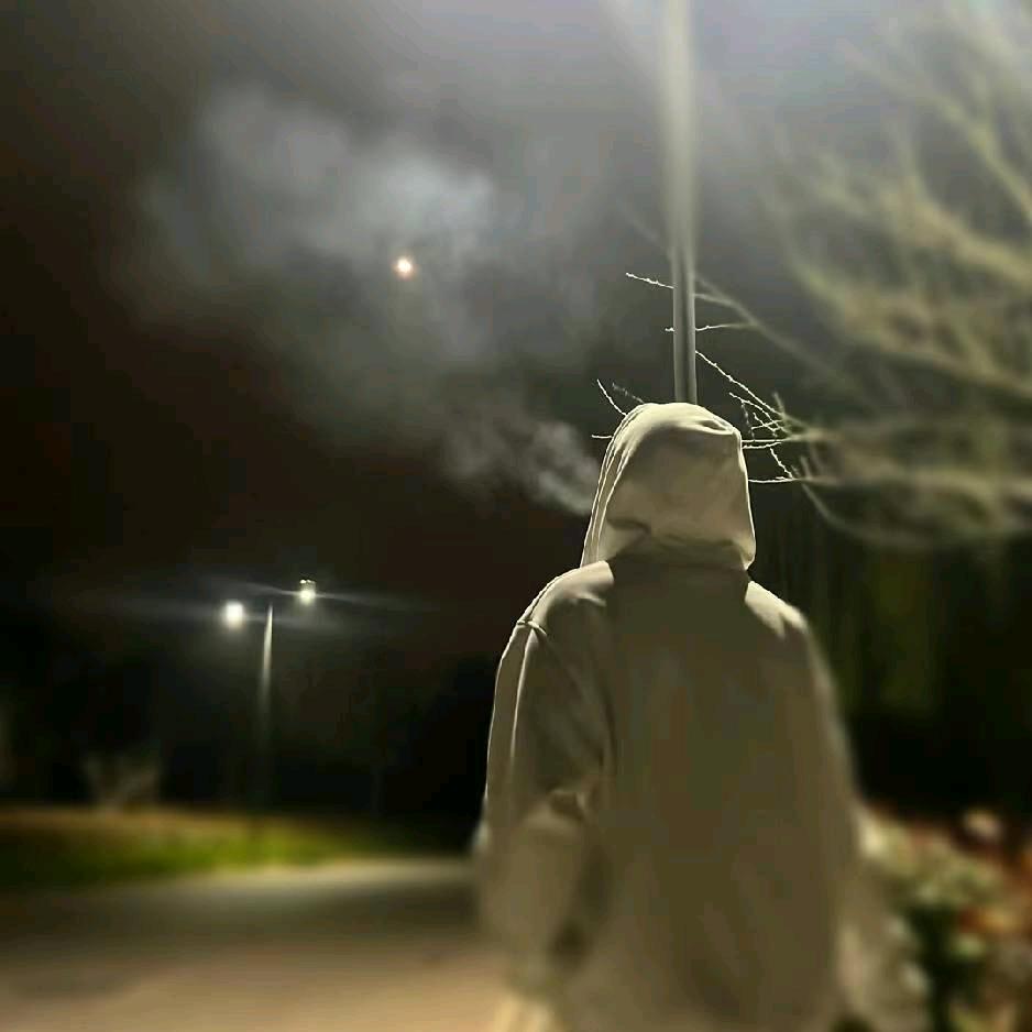 文文
