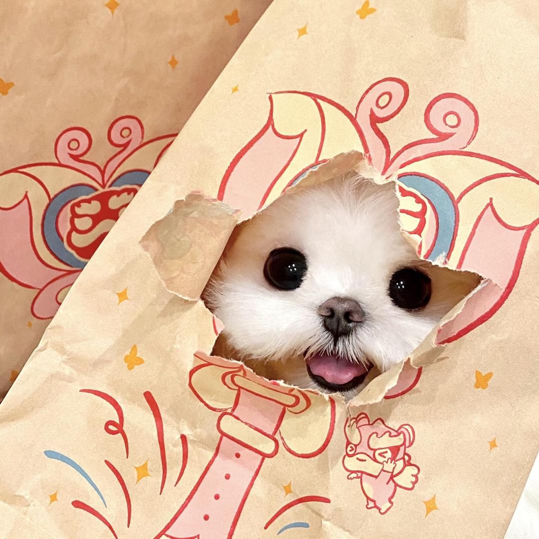 瘦小的脂肪细胞