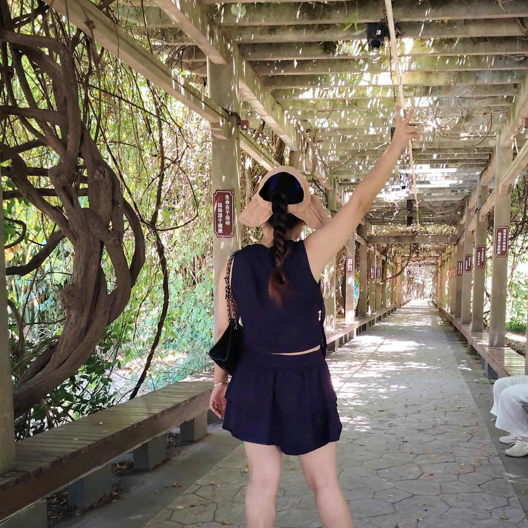 @張菇凉（峡谷的打工人）