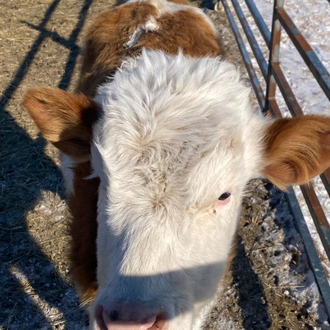 我的未来我做主