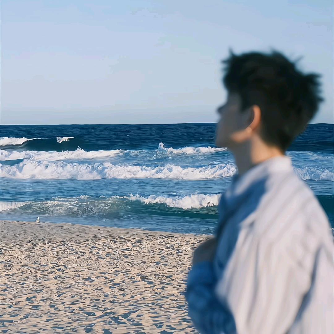 飞扬.