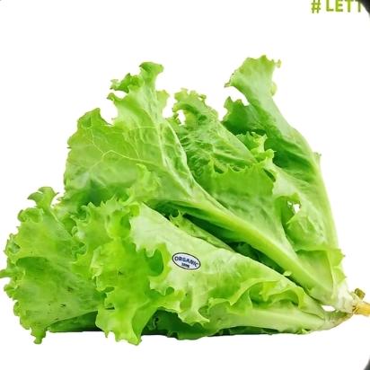 爱吃生菜