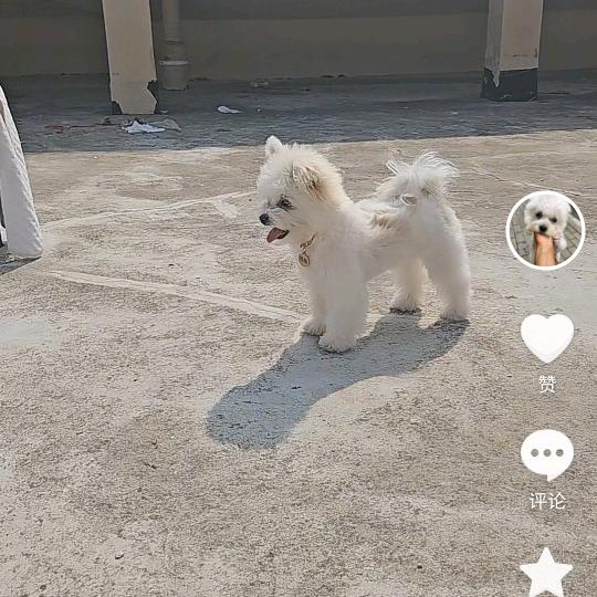 夏天来喽