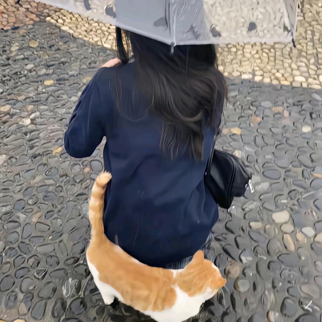 今天没ID