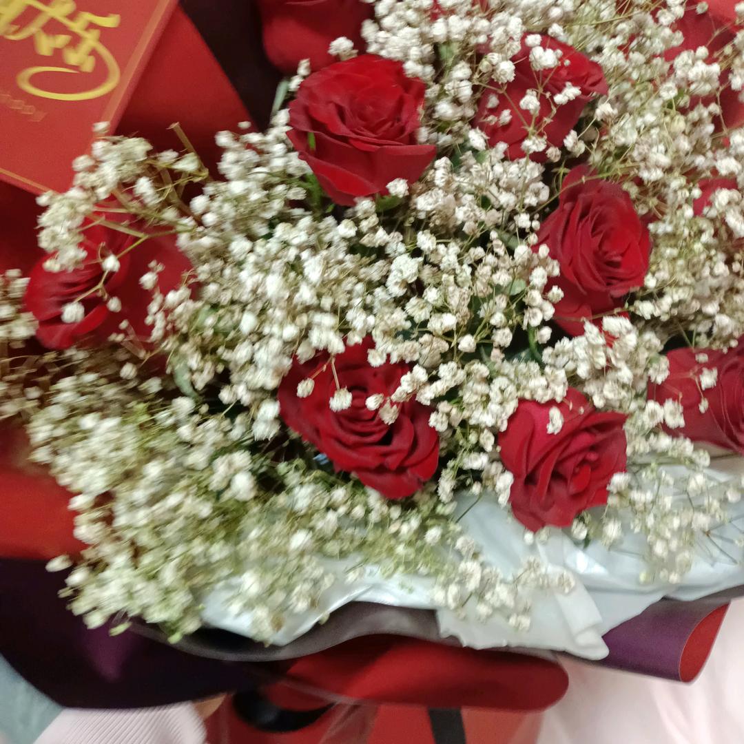 芸姐姐
