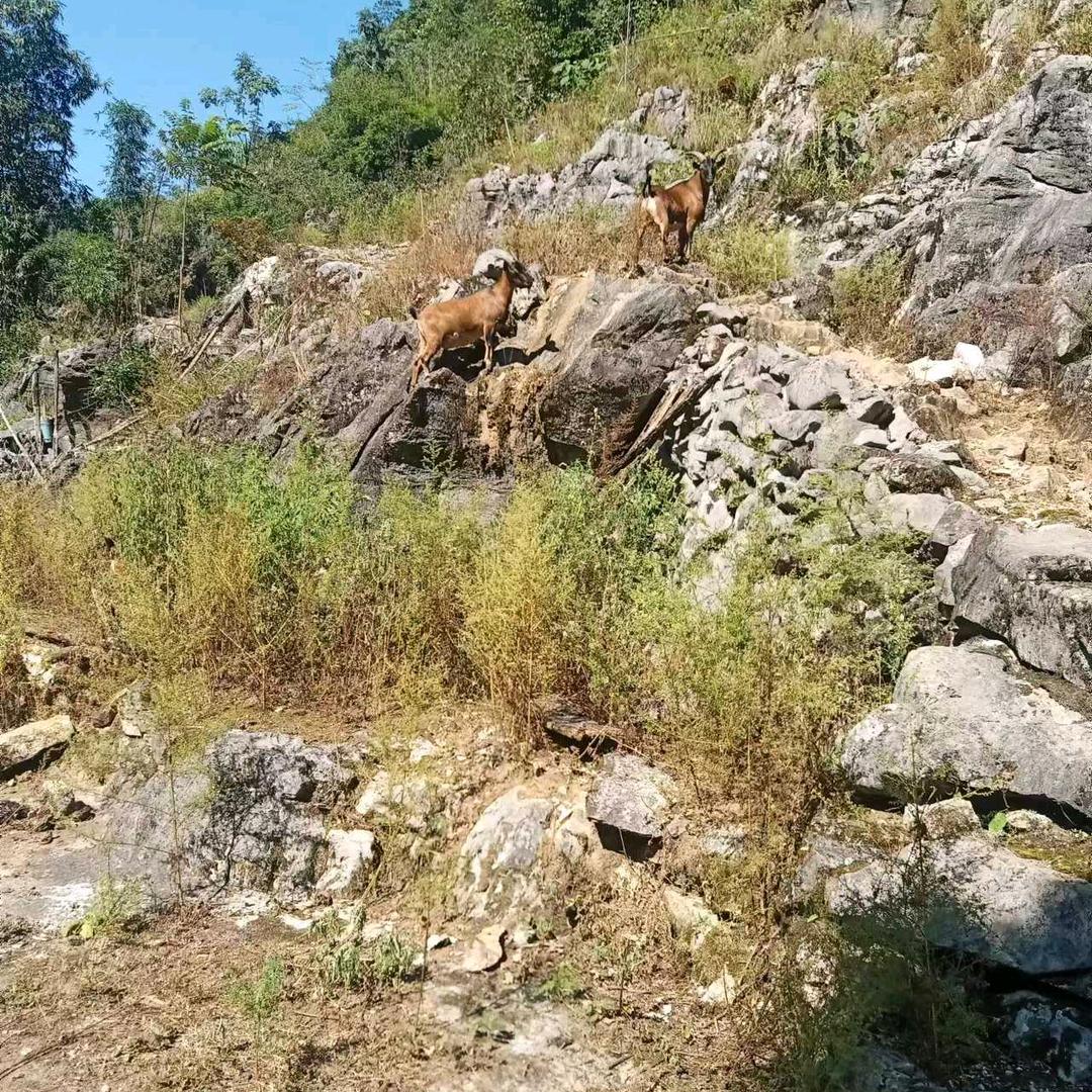 寸歩难行