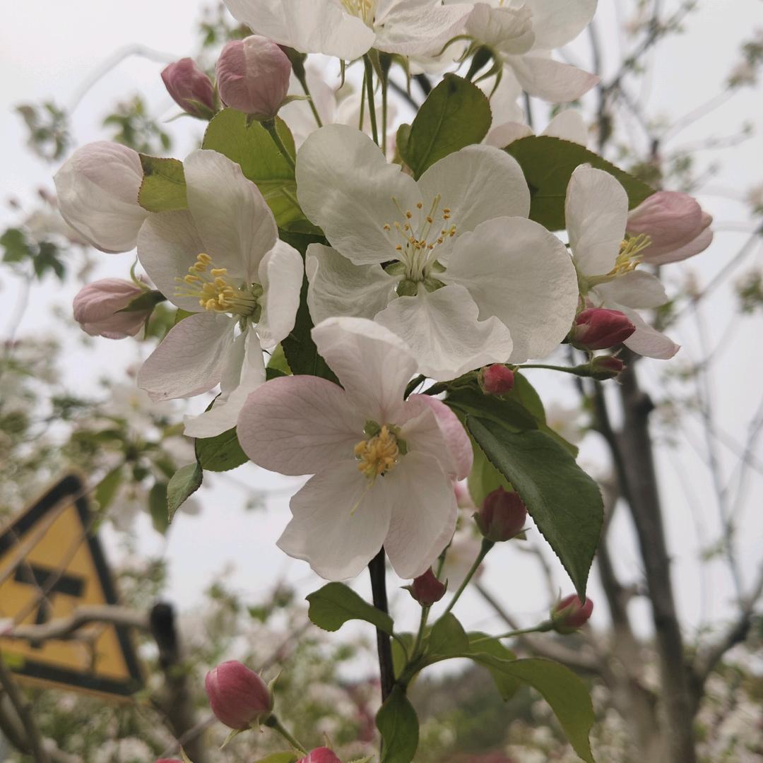 用户AA一生平安9871838886