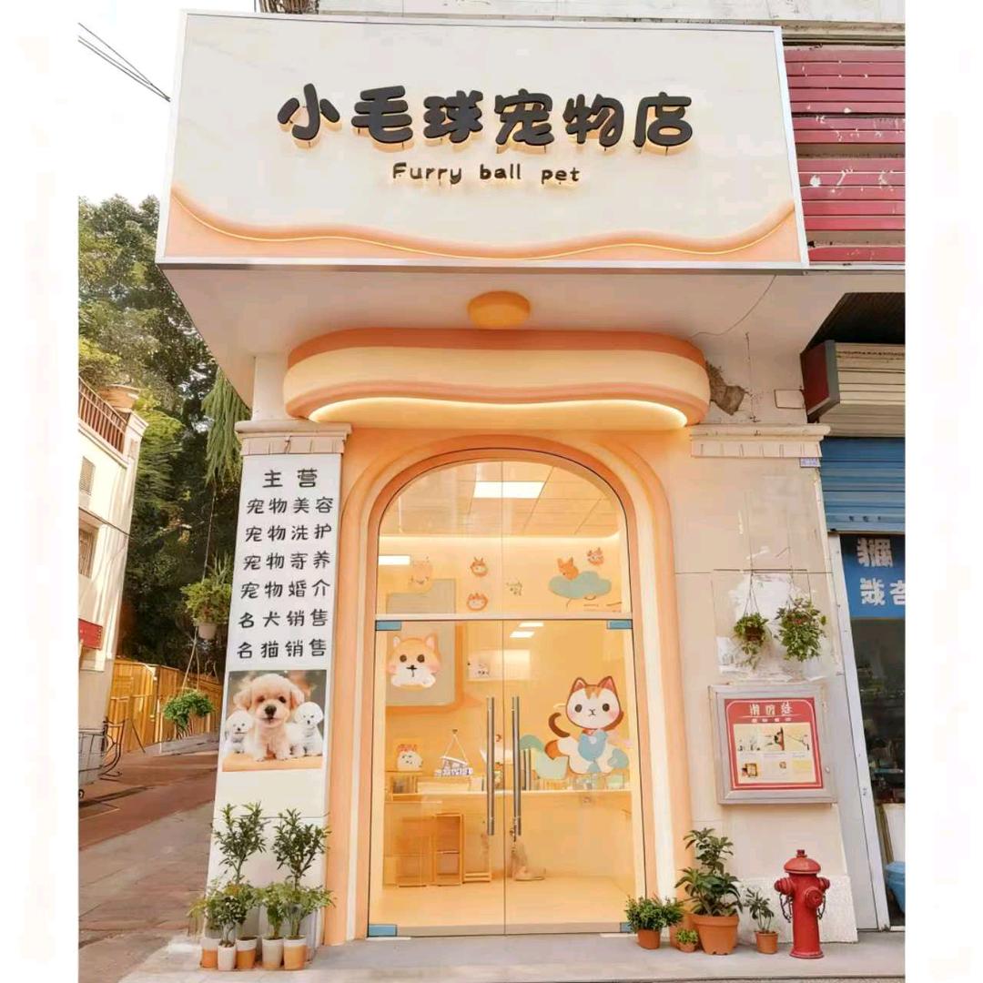 小毛球宠物店官方号
