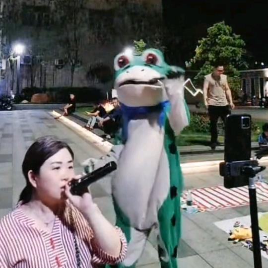 许愿池的青蛙