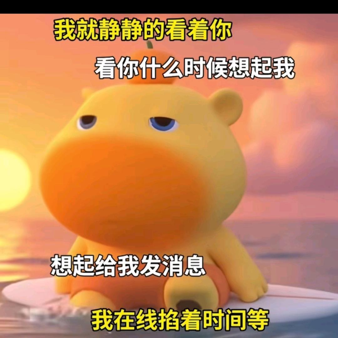 枫林雨栖