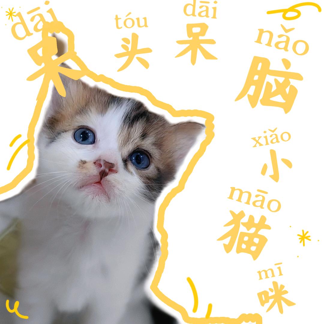 Zhaᴗao·ᰔᩚ啊赵～