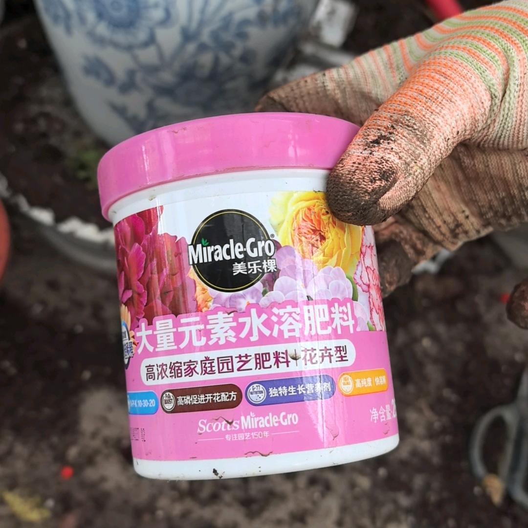 开心姐呀