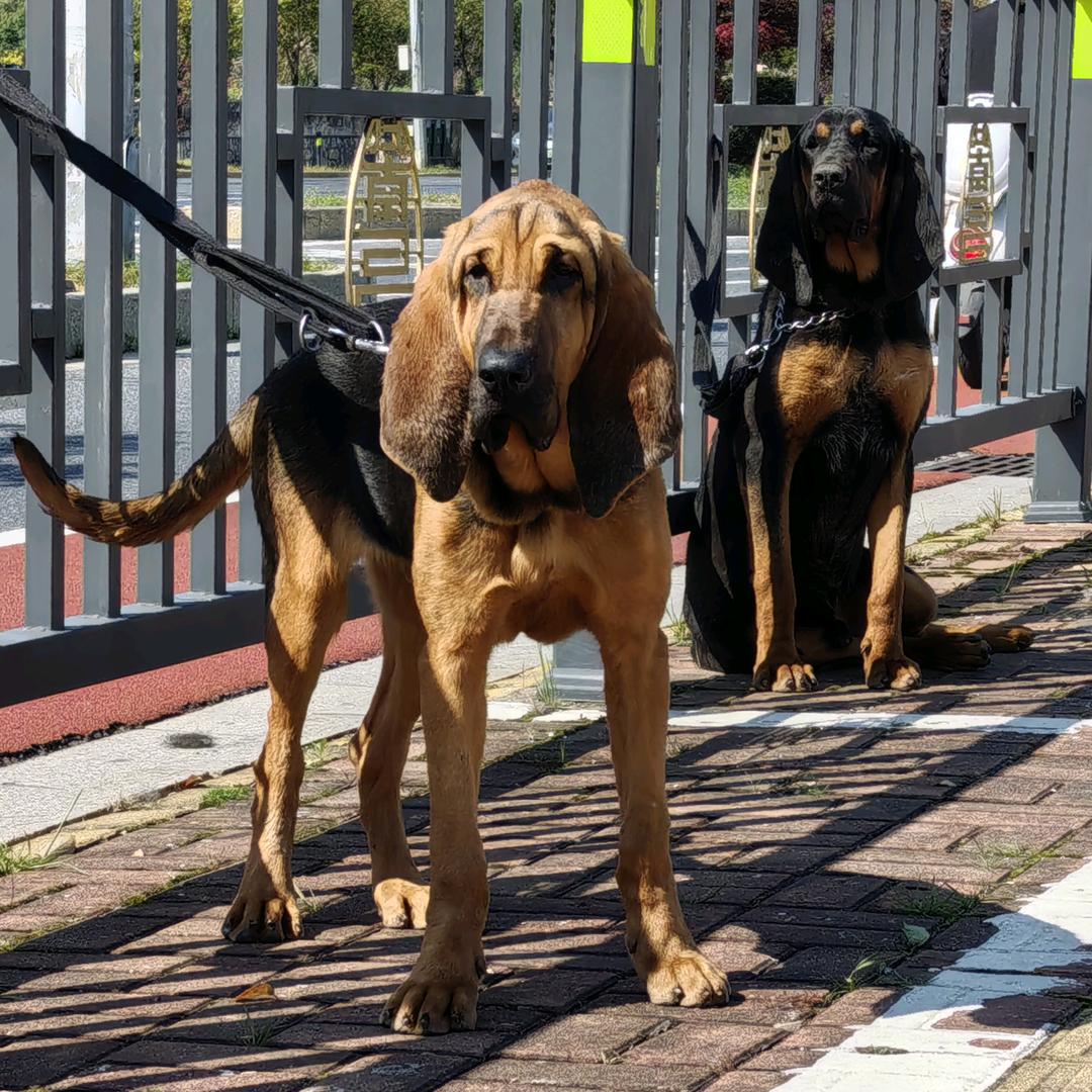 (≧∇≦)/丰田小福星(≧∇≦)/