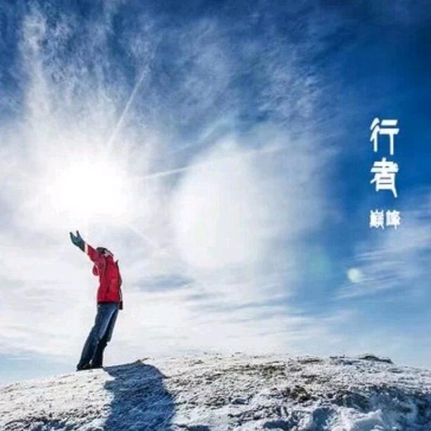 北极光视界