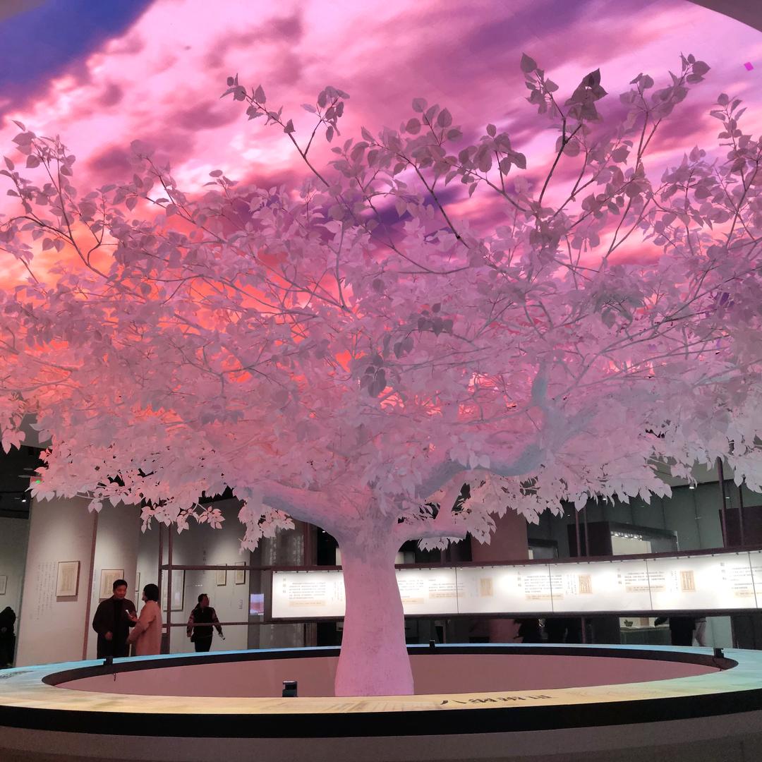 唱歌吧一一瑶瑶