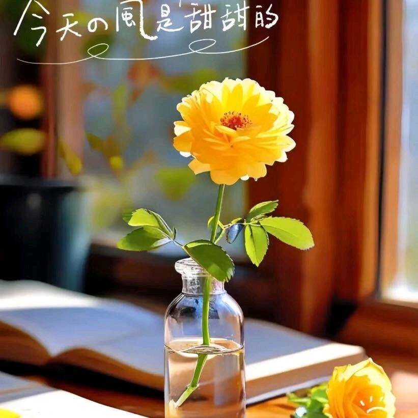 遇见更好的秀
