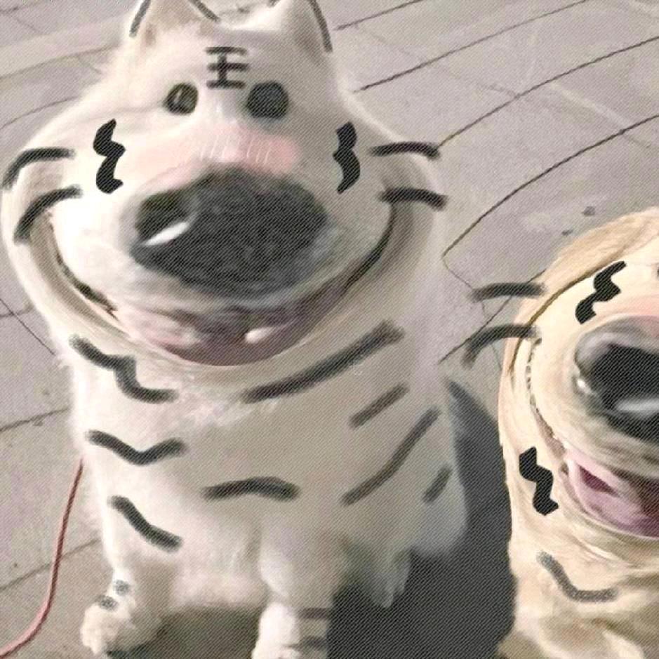 南风不竞