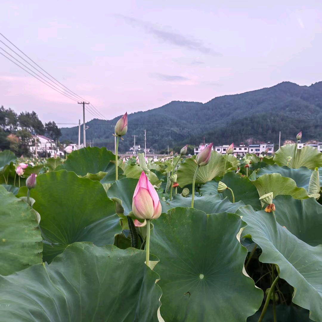 不現实的爱