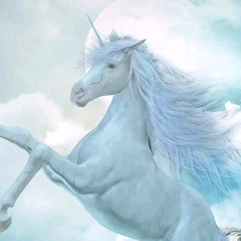 天马行空我行我素