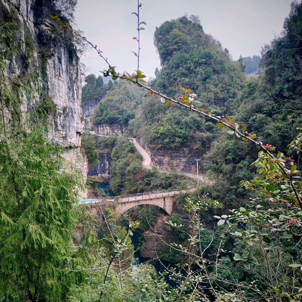 文涛