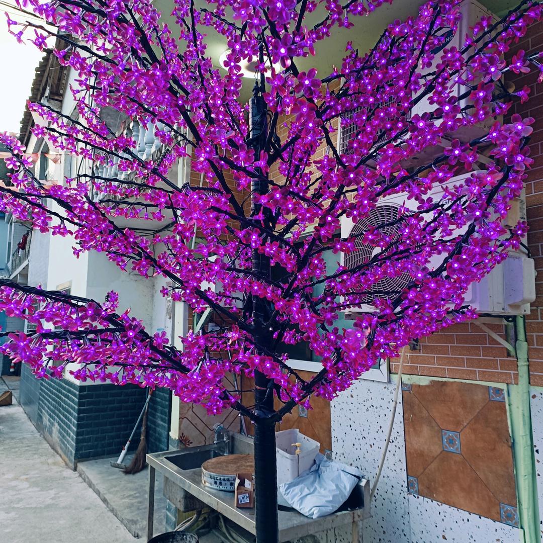 生肖鼠