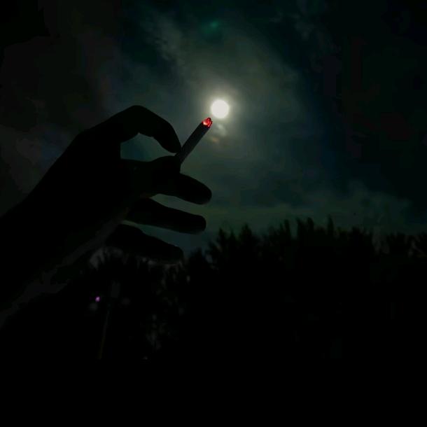 🚬认ᕕ༼•̀•́༽ᕗ输