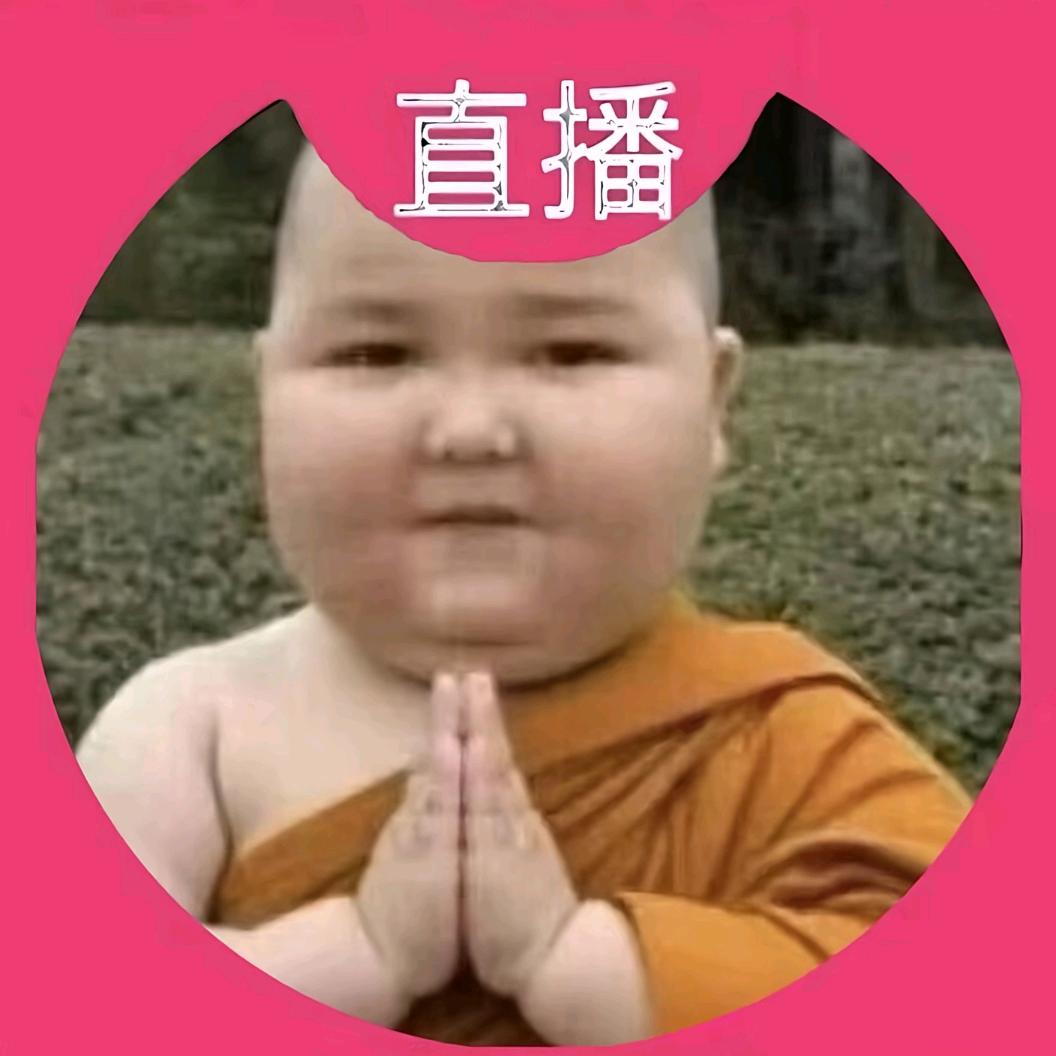 呆呆兽