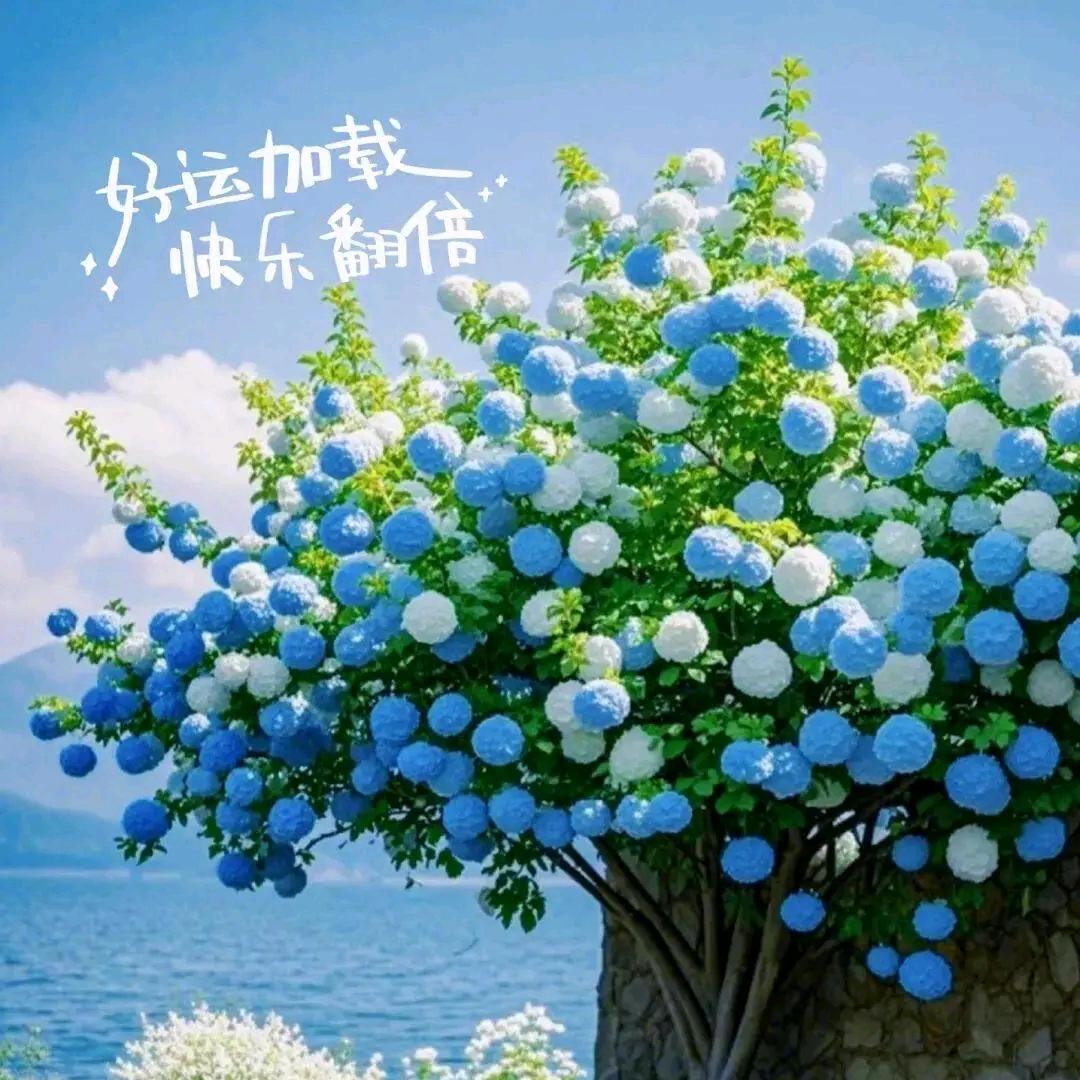 林丽静