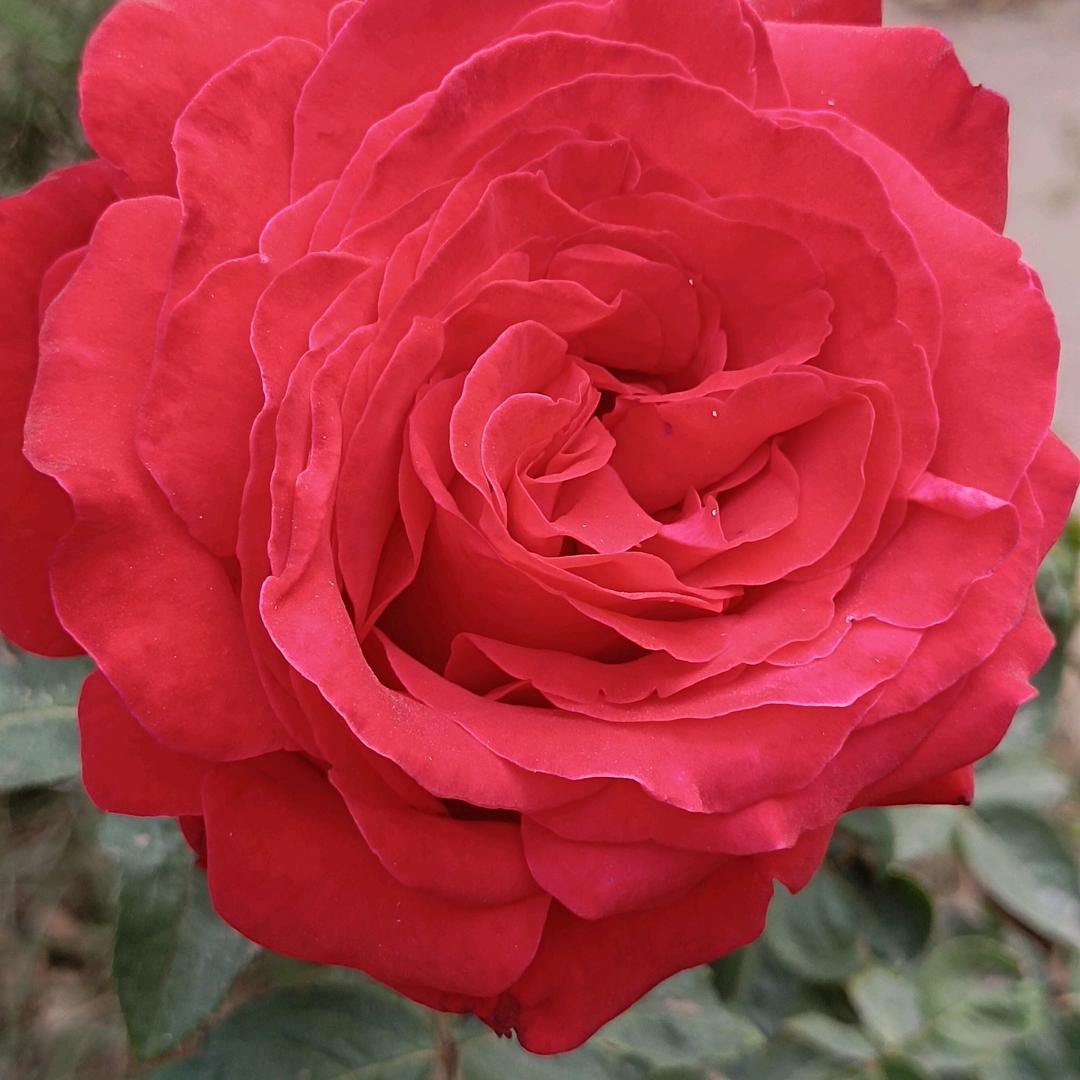 美好生活触手可及