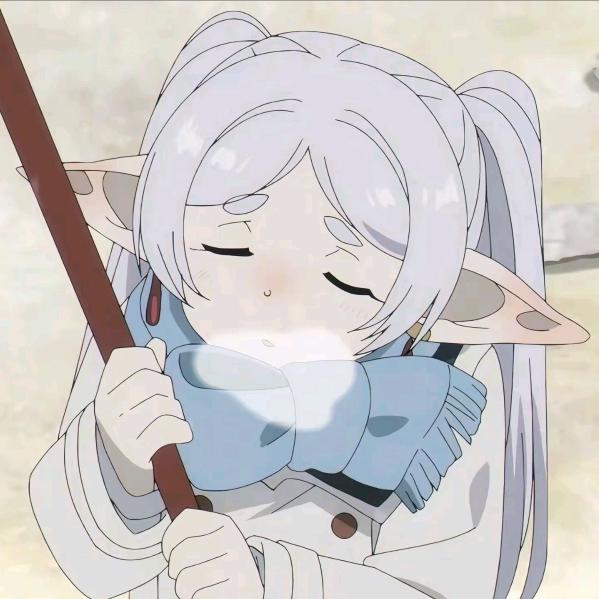 ⁺✞ʚ芙莉莲重度依赖ɞ✟₊: