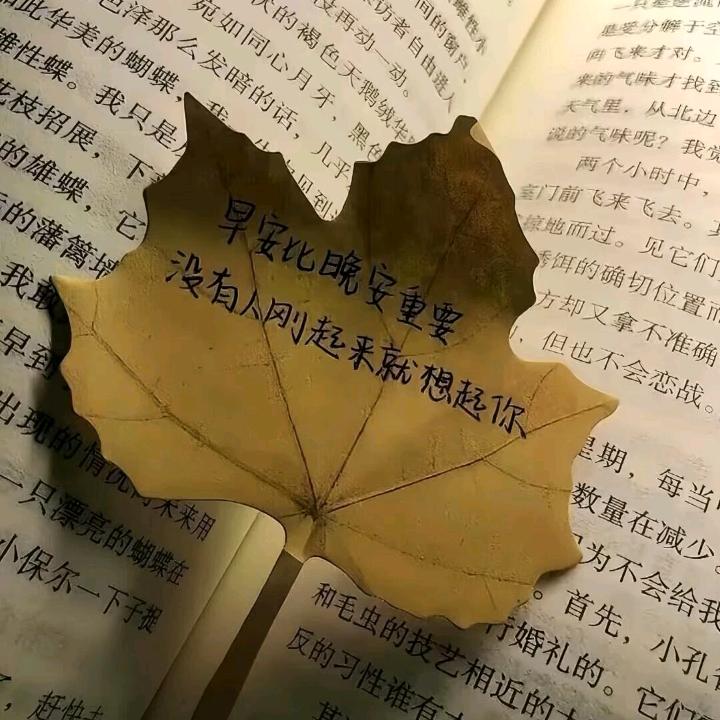 🌈一