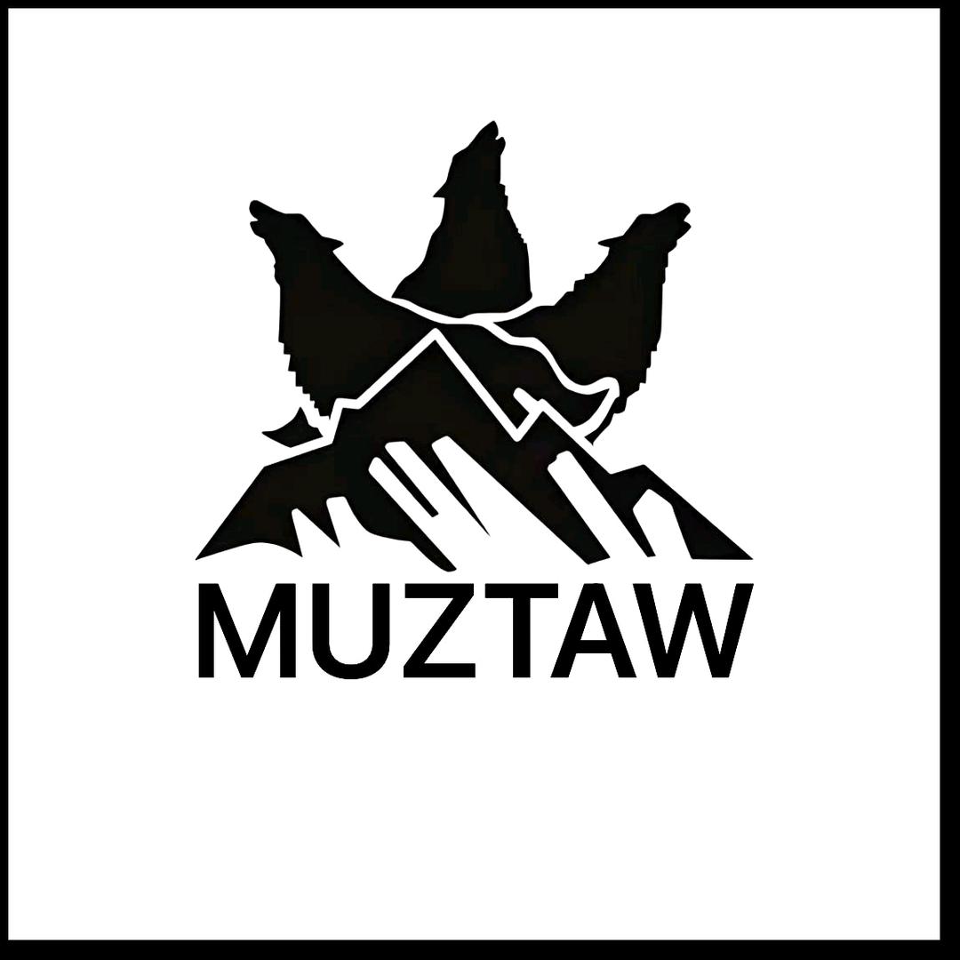 ALTAi. 北屯市冰山二手车