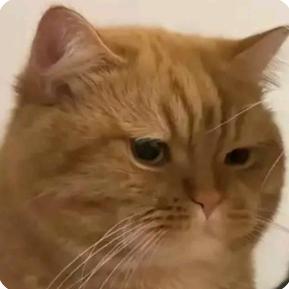 我想要只蘑菇🍄