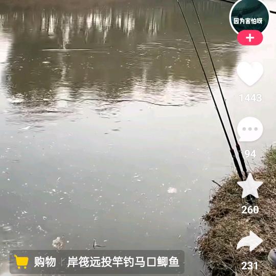未来