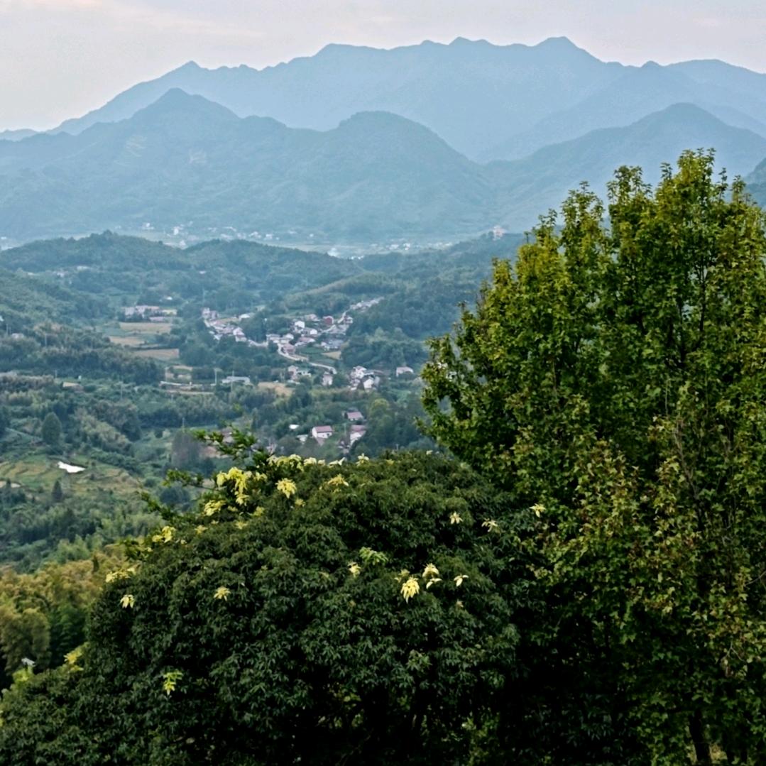陳灝