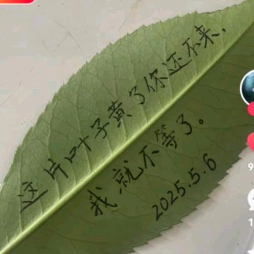 ᥫᩣ෴₅₂₀¹³¹⁴十指相扣᭄ꦿ