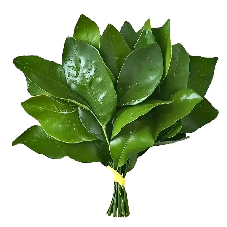 小乖