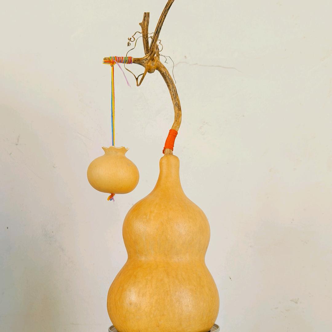 菩提树下 悟菩提