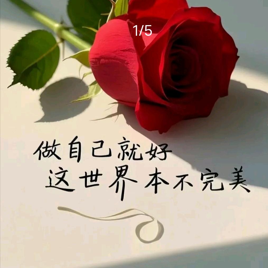 素年锦时
