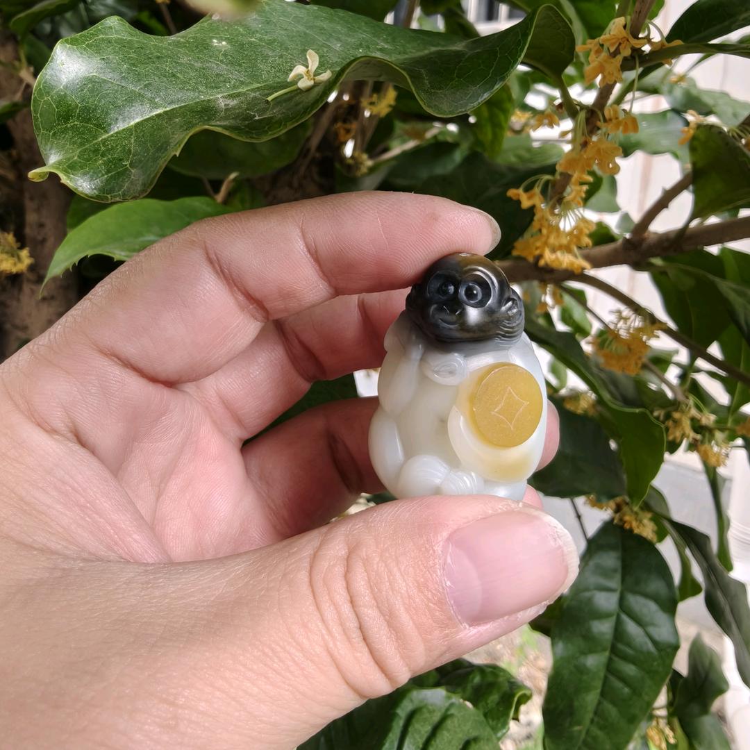 琼楼玉宇工作室