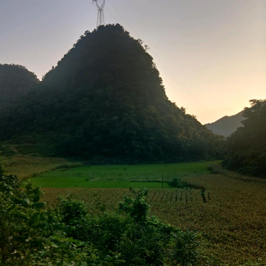 无所谓连赞拉黑。