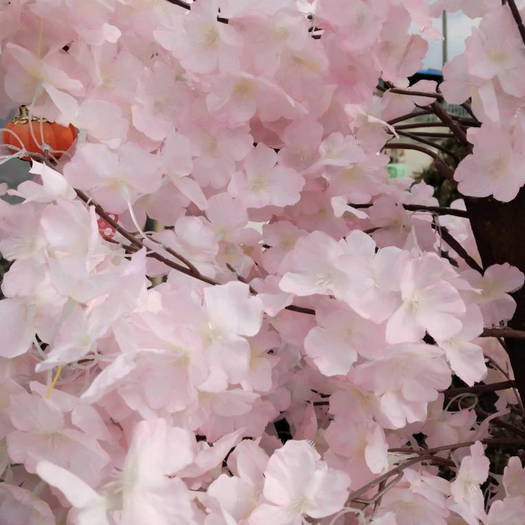 末来可期