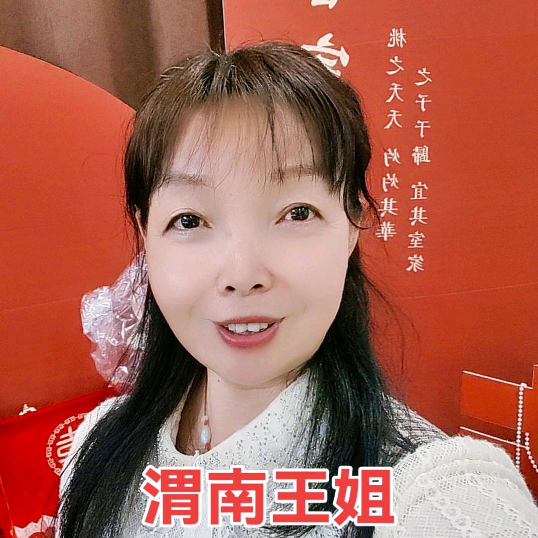渭南王姐