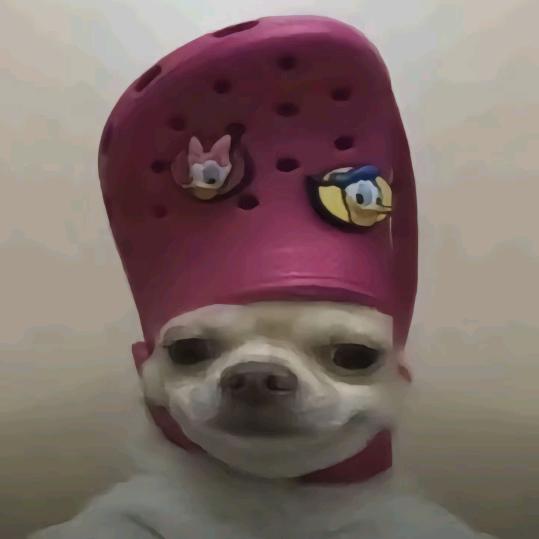 冰椰菠萝