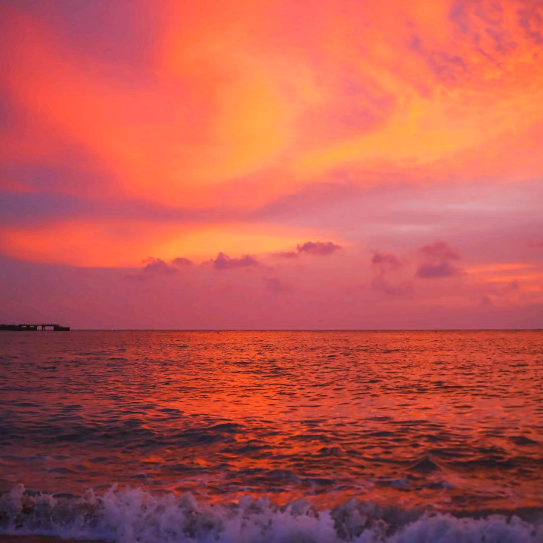北海赶海